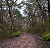 Budawang National Park - Northern Rivers Accommodation