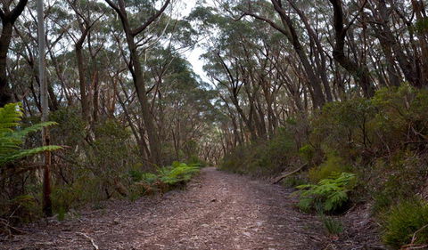 Budawang National Park - Northern Rivers Accommodation 0