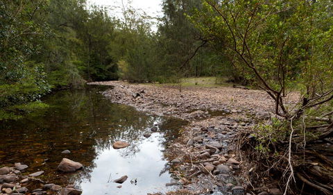 Budawang National Park - Northern Rivers Accommodation 2