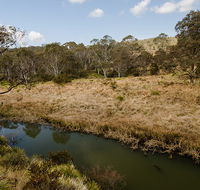 Werrikimbe National Park - Northern Rivers Accommodation