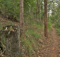 Border loop walk - Northern Rivers Accommodation