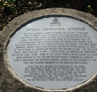 Anzac Memorial Avenue Redcliffe - Northern Rivers Accommodation