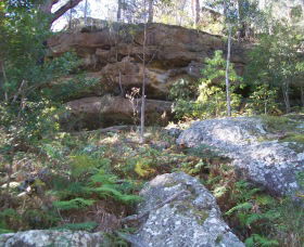 Bens Walk - Northern Rivers Accommodation 0