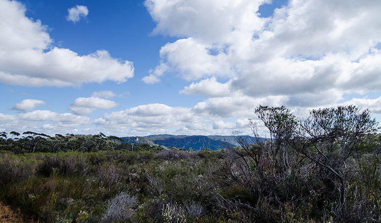 Barren Grounds NSW Northern Rivers Accommodation