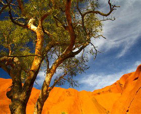 The Artery Aboriginal Art - Northern Rivers Accommodation 2