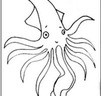 Squid Studio - Northern Rivers Accommodation