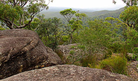 Pigeon House Mountain Didthul Walking Track - Northern Rivers Accommodation 1