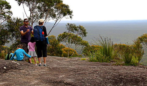 Pigeon House Mountain Didthul Walking Track - Northern Rivers Accommodation 2