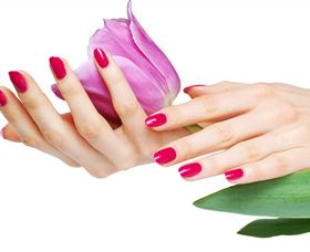 Organica Day Spa - Northern Rivers Accommodation 2