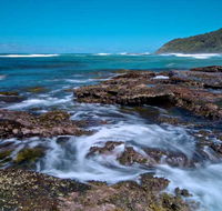 Wyrrabalong National Park - Northern Rivers Accommodation