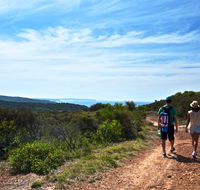 Moonee Beach trail - Northern Rivers Accommodation