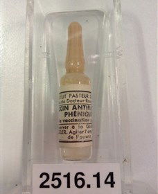 Museum Of Human Disease - Northern Rivers Accommodation 2