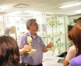 Museum Of Human Disease - Northern Rivers Accommodation 3