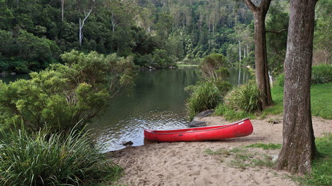 Nymboi-Binderay National Park - Northern Rivers Accommodation 1