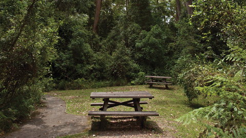 Nymboi-Binderay National Park - Northern Rivers Accommodation 3