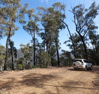 Wadbilliga Road drive - Northern Rivers Accommodation