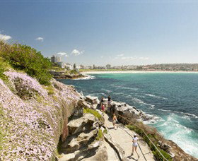 Bondi To Coogee Coastal Walk - Northern Rivers Accommodation 3