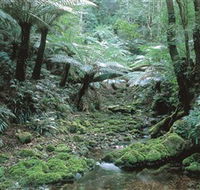 The Corn Trail Walk - Northern Rivers Accommodation