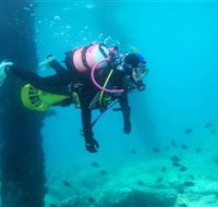 Shellharbour Scuba  Photography Centre - Northern Rivers Accommodation