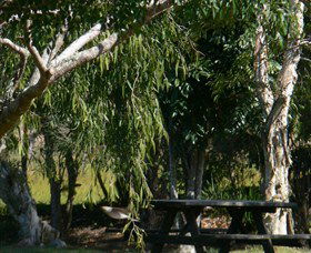 Doubtful Creek NSW Northern Rivers Accommodation
