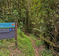 Red Cedar loop - Northern Rivers Accommodation