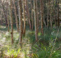 Anabranch loop track - Northern Rivers Accommodation