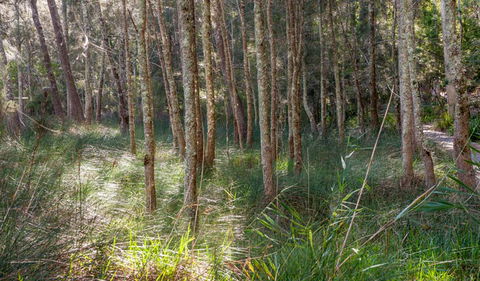 Anabranch Loop Track - Northern Rivers Accommodation 0