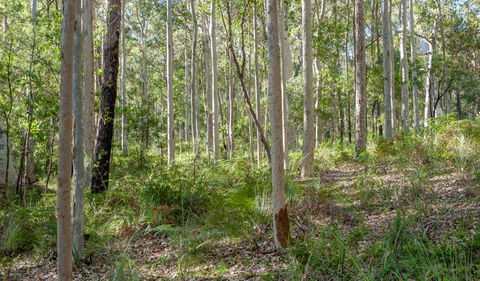 Anabranch Loop Track - Northern Rivers Accommodation 2