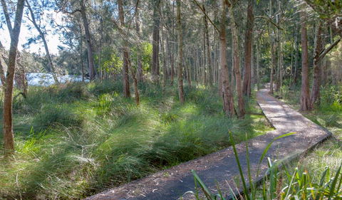 Anabranch Loop Track - Northern Rivers Accommodation 3