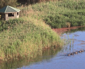 Spring Creek Bird Hide - Northern Rivers Accommodation 0