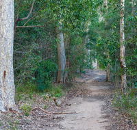 Delta track - Northern Rivers Accommodation