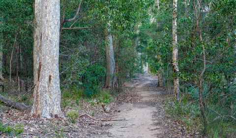 Delta Track - Northern Rivers Accommodation 0