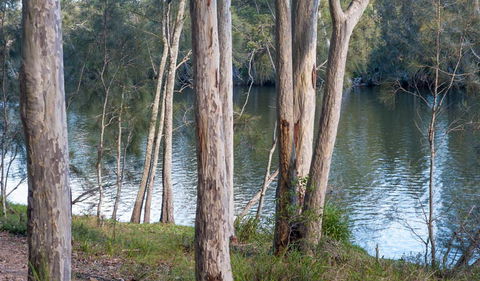 Delta Track - Northern Rivers Accommodation 2