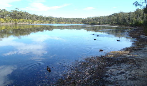 Conjola National Park - Northern Rivers Accommodation 1