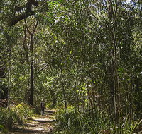 Sand track walk south