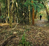 Sand track walk north