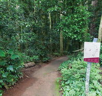 Walk with the Birds boardwalk - Northern Rivers Accommodation