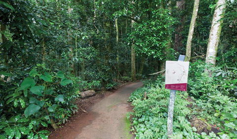 Walk With The Birds Boardwalk - Northern Rivers Accommodation 0