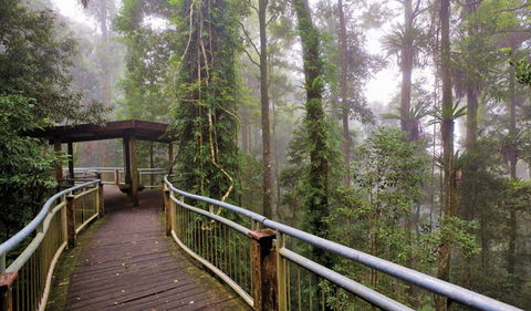 Walk With The Birds Boardwalk - Northern Rivers Accommodation 3