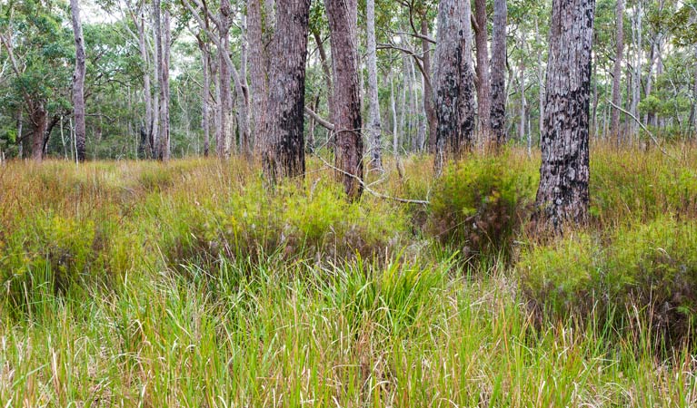 Fishermans Paradise NSW Northern Rivers Accommodation