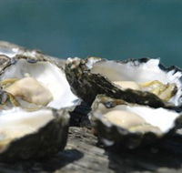 Jim Wilds Oyster Service - Northern Rivers Accommodation