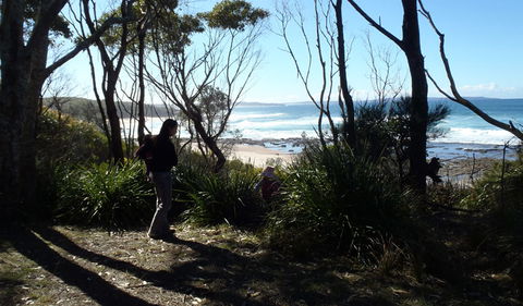Monument Beach Picnic Area - Northern Rivers Accommodation 2