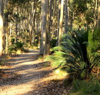 Square Head track 2 - Northern Rivers Accommodation