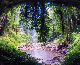Dorrigo Rainforest Centre - Northern Rivers Accommodation 1