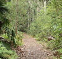 Lake walking track - Northern Rivers Accommodation