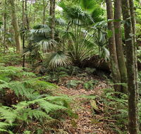 Durras Lake Discovery trail - Northern Rivers Accommodation