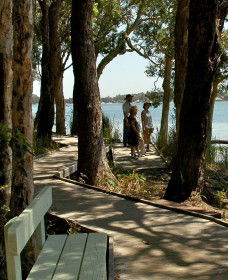 Tilligerry Habitat State Reserve - Northern Rivers Accommodation 2
