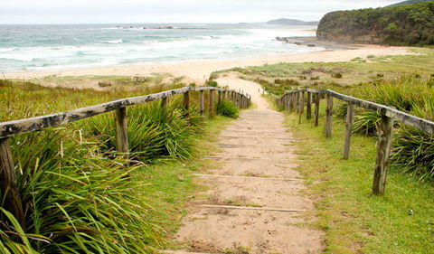 Pretty Beach To Durras Mountain Walking Track - Northern Rivers Accommodation 0