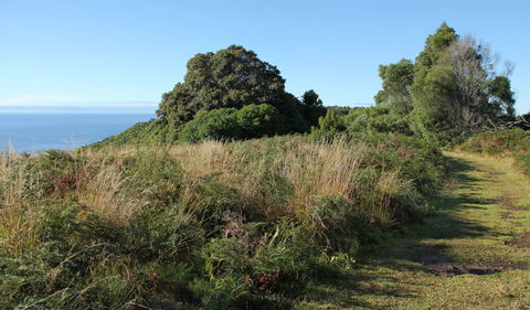 Pretty Beach To Durras Mountain Walking Track - Northern Rivers Accommodation 2