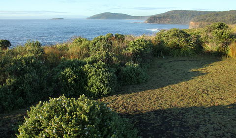 Pretty Beach To Durras Mountain Walking Track - Northern Rivers Accommodation 3
